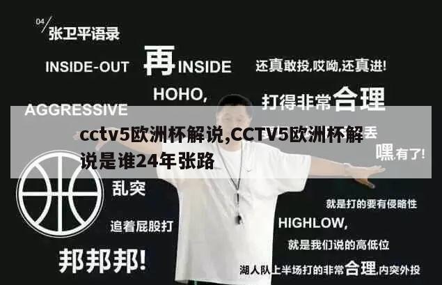 cctv5欧洲杯解说,CCTV5欧洲杯解说是谁24年张路